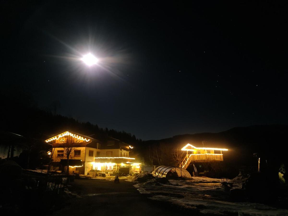 Schoene Ferienwohnung Im Naturpark Grebenzen Sankt Lambrecht Exterior photo